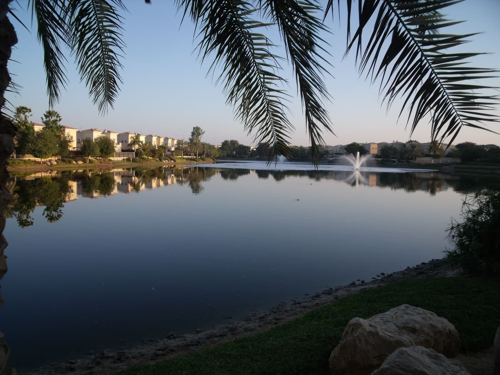 A calm lake with fountains in Arabian Ranches, lined with townhouses and trees and seen from under a palm tree