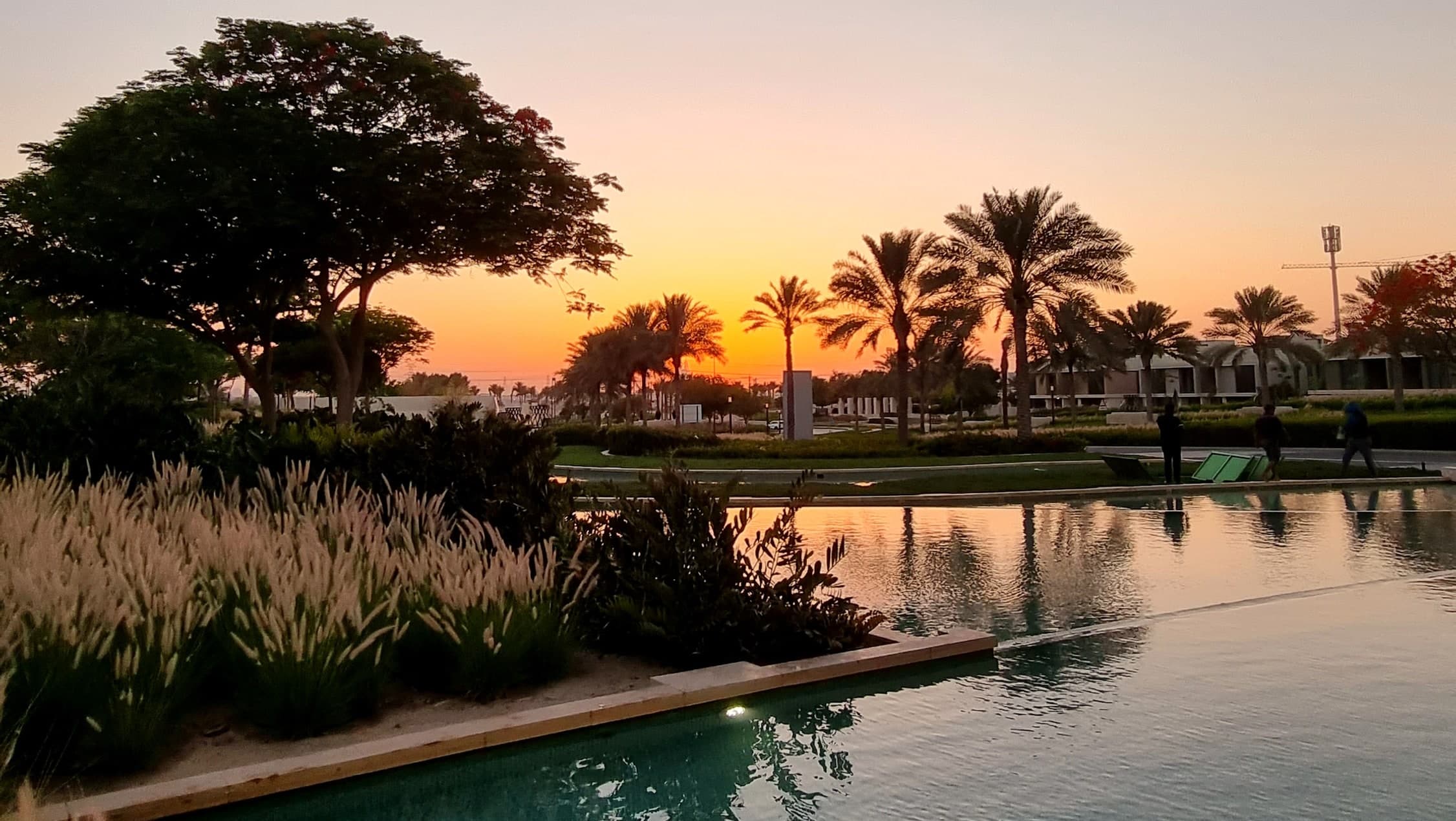 A water feature, ornamental grasses and palm trees in Dubai Hills Estate at sunset